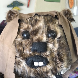 Team Page: Wookiee Warriors